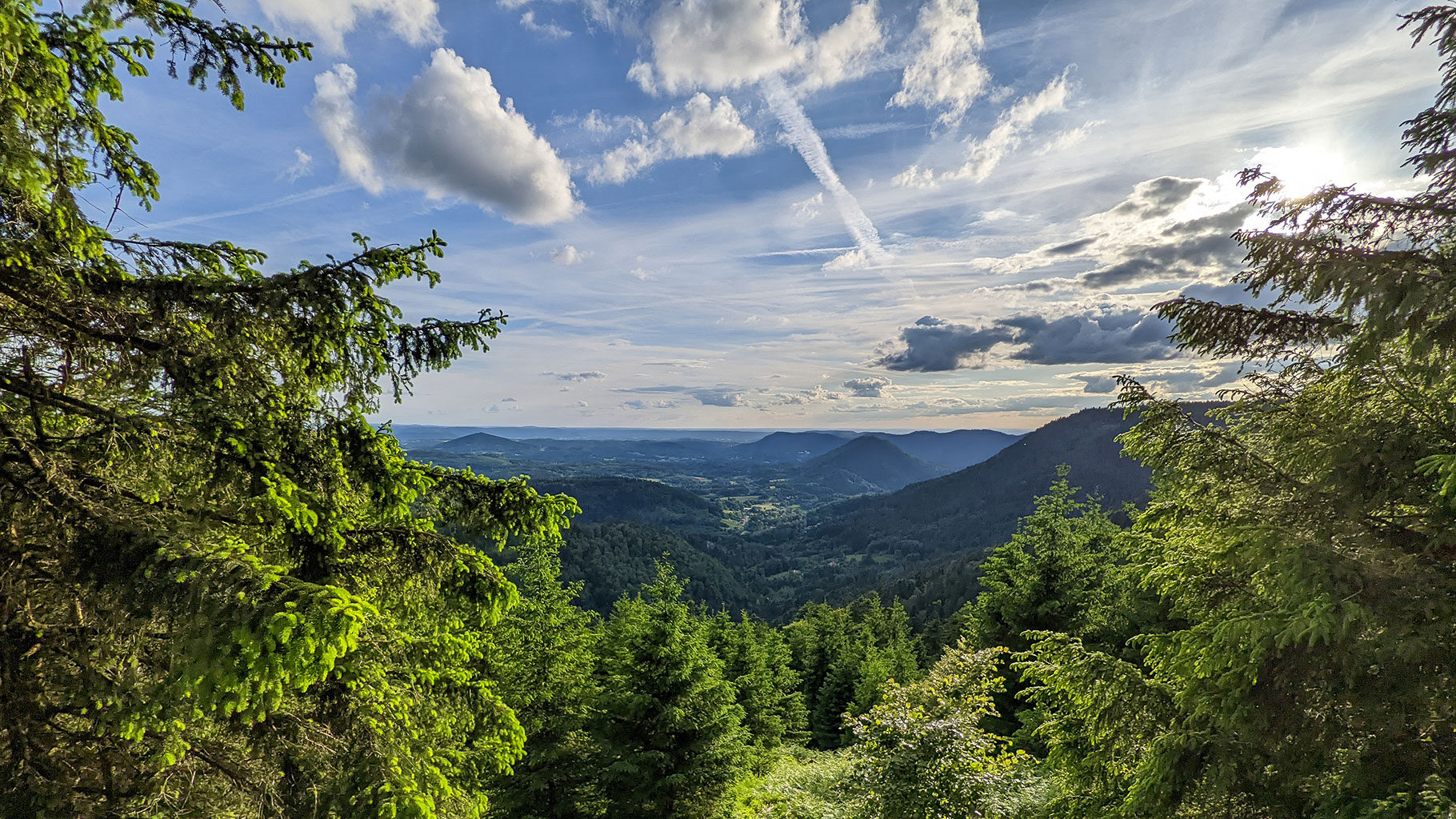 paysage des vosges